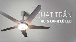 Vì Sao Nên Mua Quạt Trần Tích Hợp Đèn LED