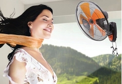 Quạt treo tường giá rẻ