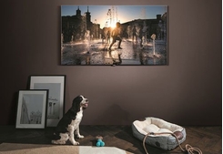Tivi QLED Samsung 65 inch với giá bán chính thức 84,9 triệu đồng