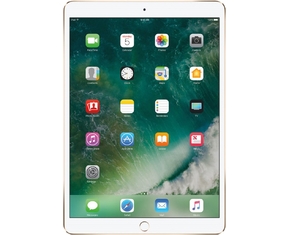 IPad Pro 10.5 Wifi 256GB (2017) Gold bán tại Nguyễn Kim
