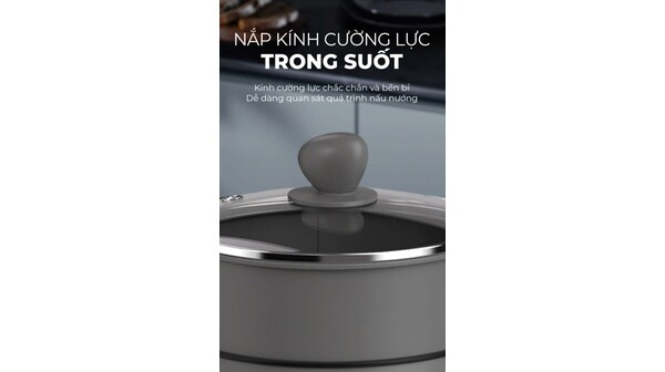 Nồi lẩu điện đa năng Magic A-041