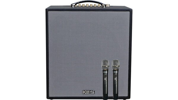 Loa xách tay Acnos CS300