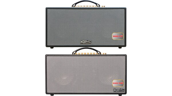 Loa xách tay Acnos CS450NEO