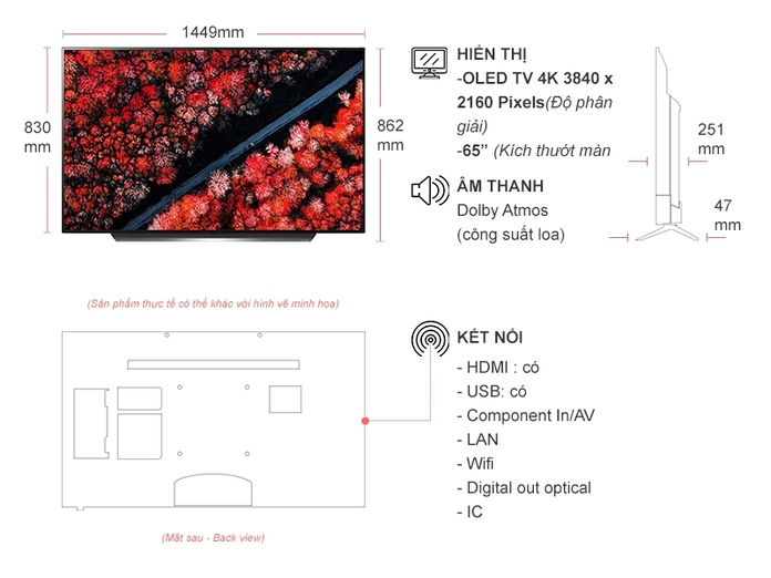 Smart Tivi OLED LG 4K 65 inch 65C9PTA