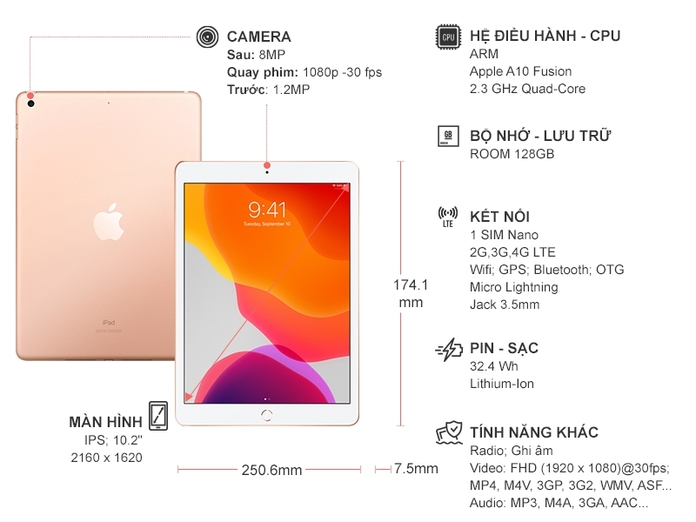 iPad WI-FI Cellular 128GB Gold MW6G2ZA/A (2019)